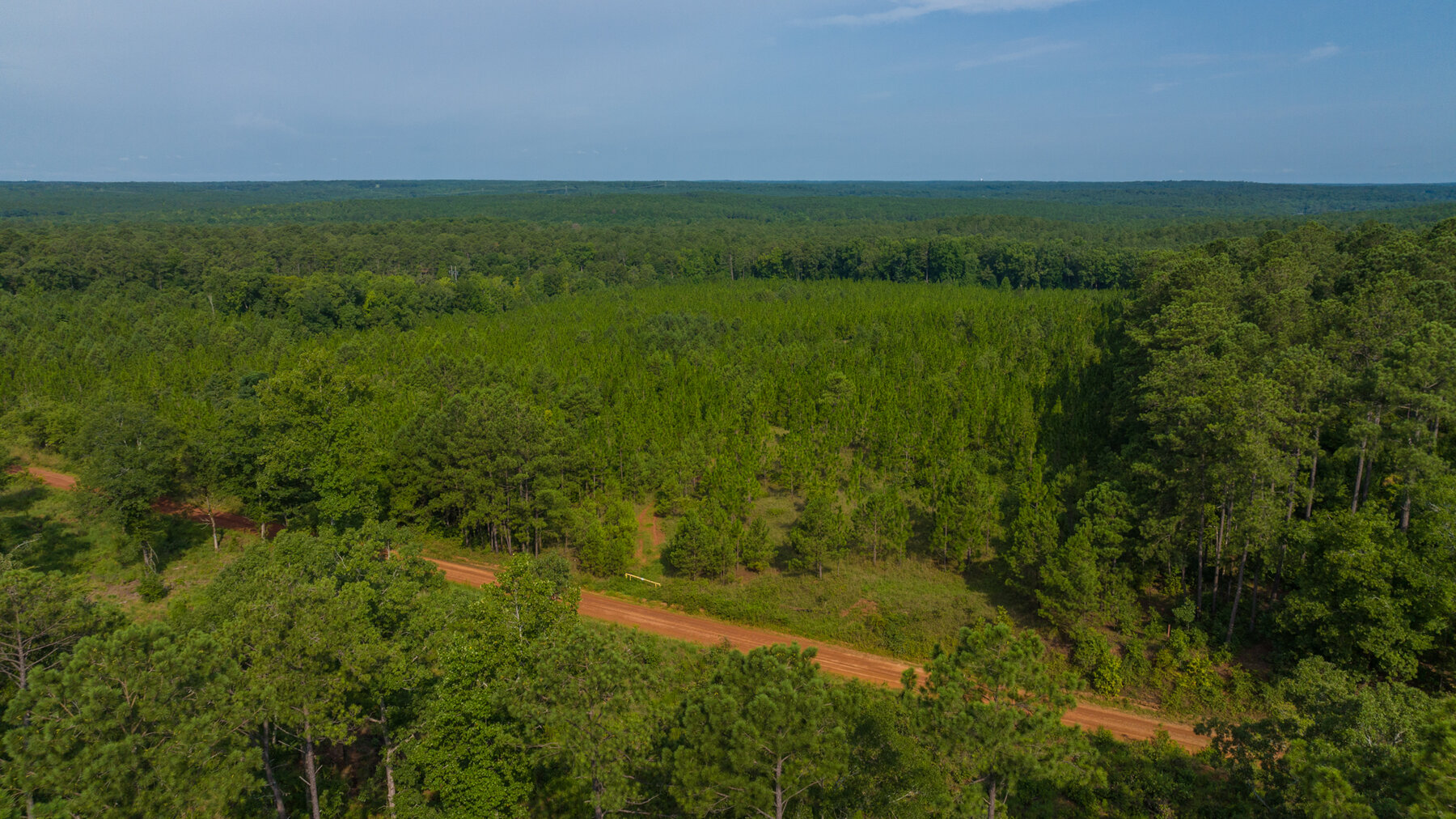 Image for Pioneer Farms: 660+/- Acre Pristine Timberland and Recreational Farm