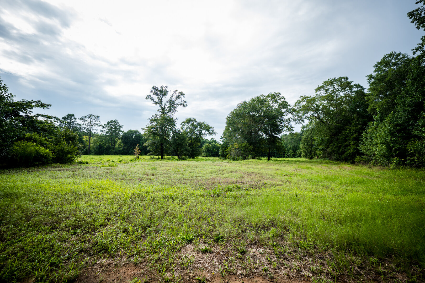 Image for Pioneer Farms: 660+/- Acre Pristine Timberland and Recreational Farm
