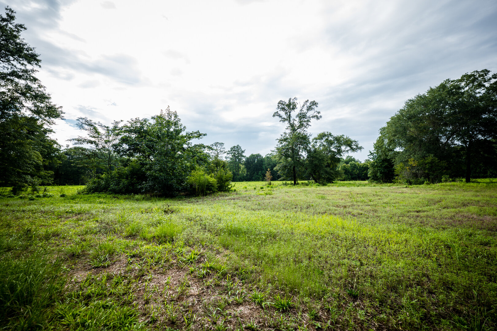 Image for Pioneer Farms: 660+/- Acre Pristine Timberland and Recreational Farm