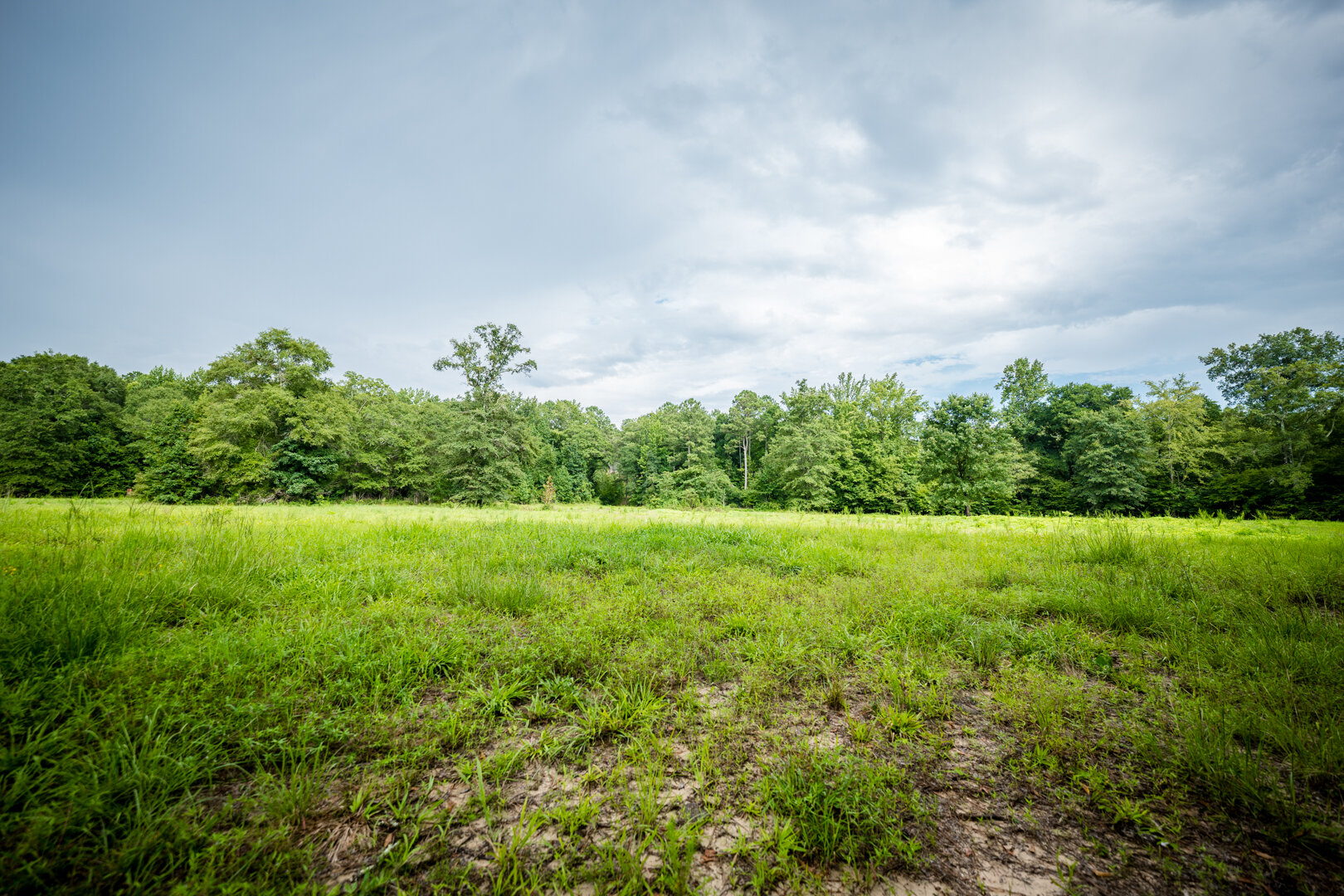 Image for Pioneer Farms: 660+/- Acre Pristine Timberland and Recreational Farm