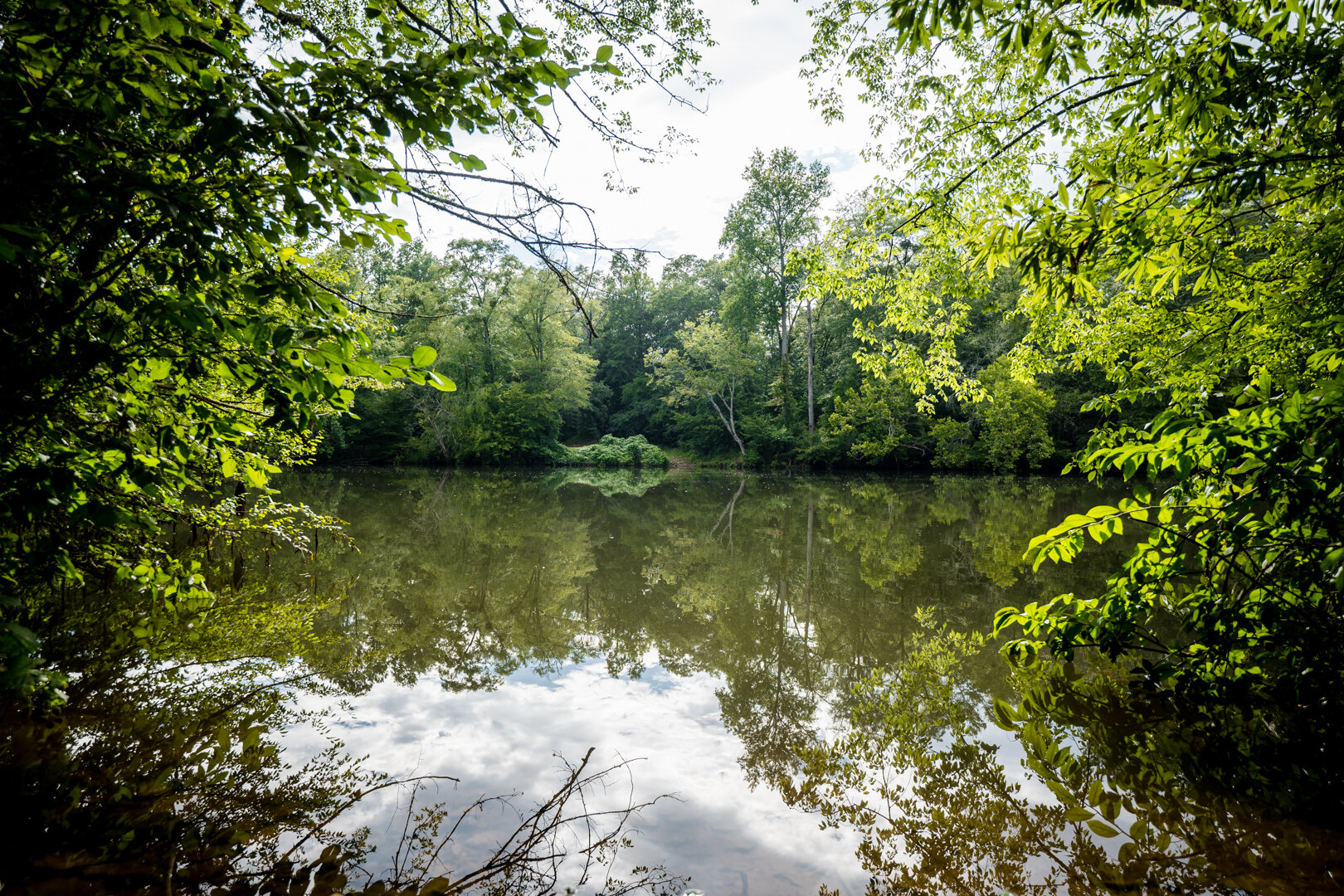 Image for Pioneer Farms: 660+/- Acre Pristine Timberland and Recreational Farm