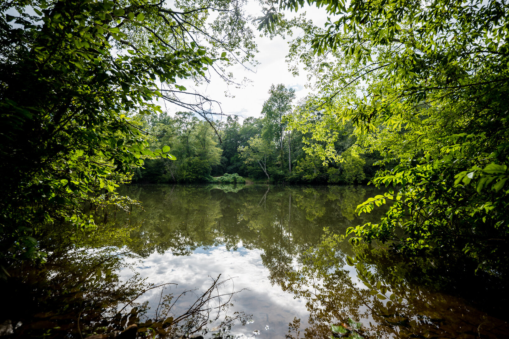 Image for Pioneer Farms: 660+/- Acre Pristine Timberland and Recreational Farm
