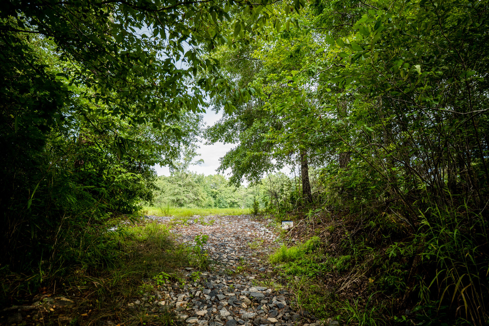 Image for Pioneer Farms: 660+/- Acre Pristine Timberland and Recreational Farm