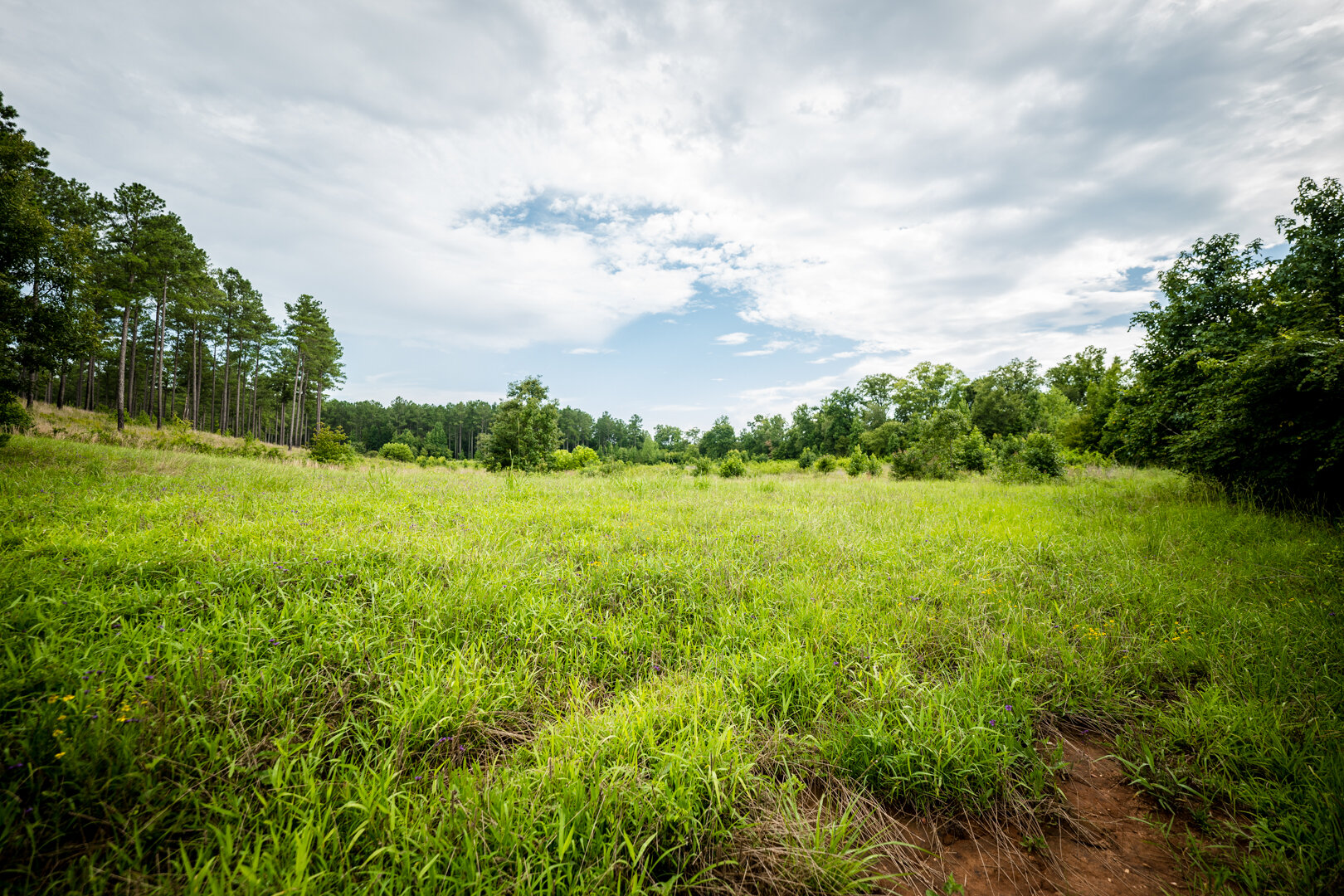 Image for Pioneer Farms: 660+/- Acre Pristine Timberland and Recreational Farm