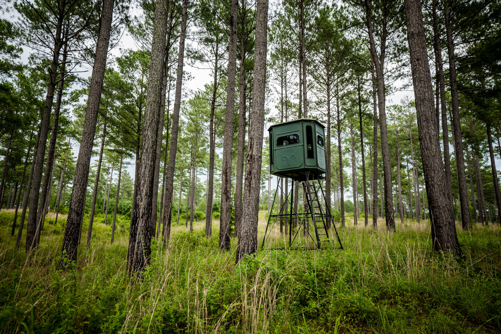 Image for Pioneer Farms: 660+/- Acre Pristine Timberland and Recreational Farm
