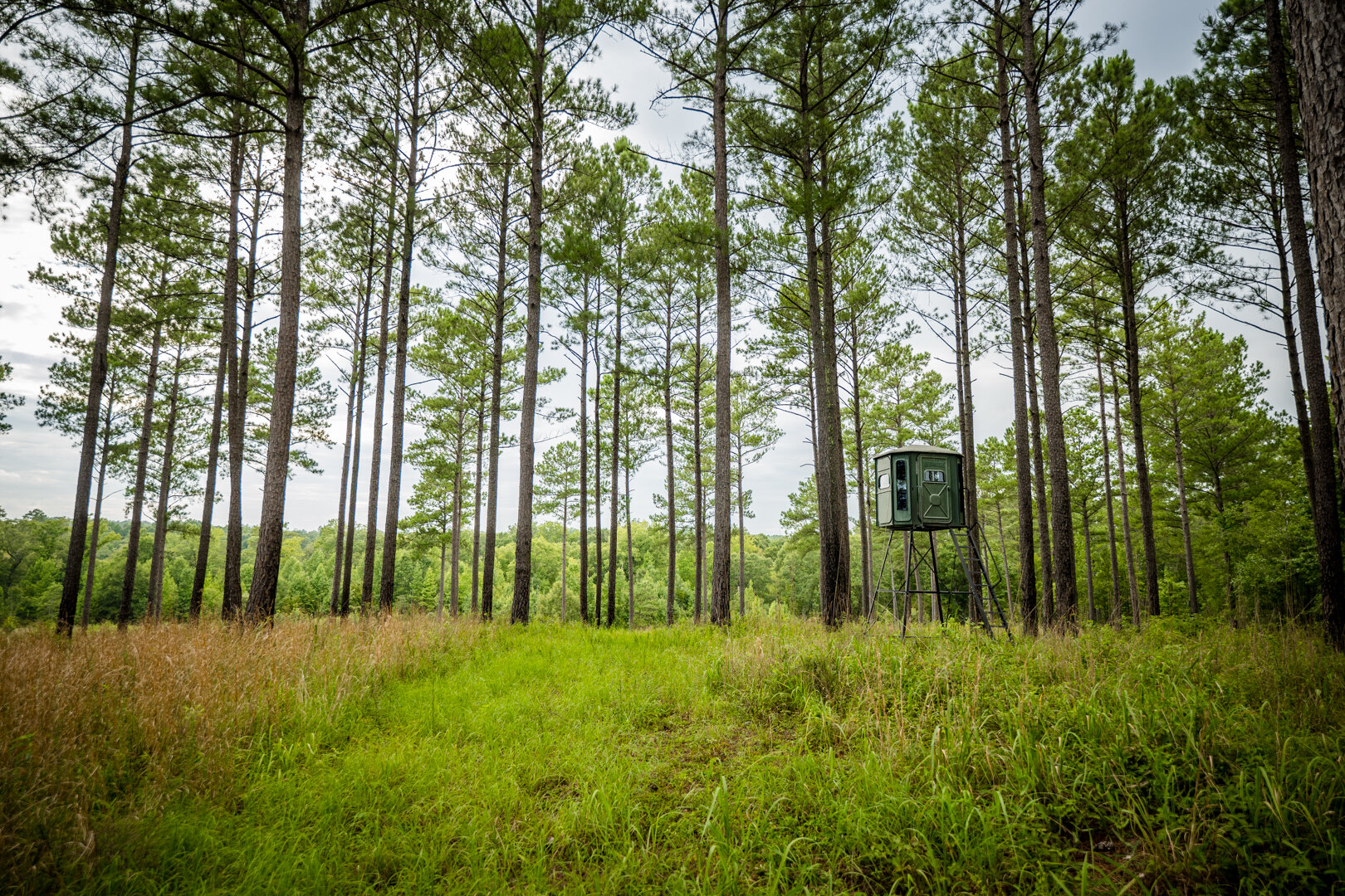 Image for Pioneer Farms: 660+/- Acre Pristine Timberland and Recreational Farm