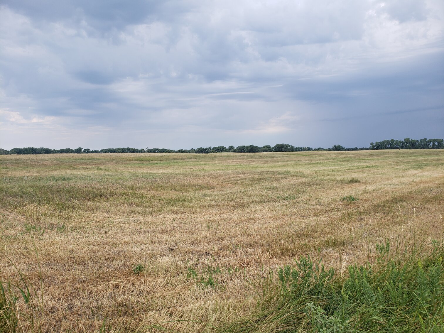 480+/ Acres in Rock County, NE