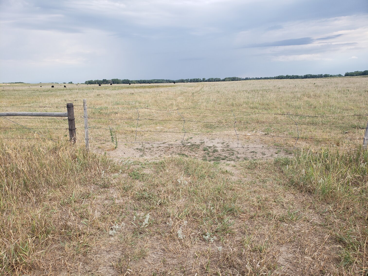 480+/ Acres in Rock County, NE