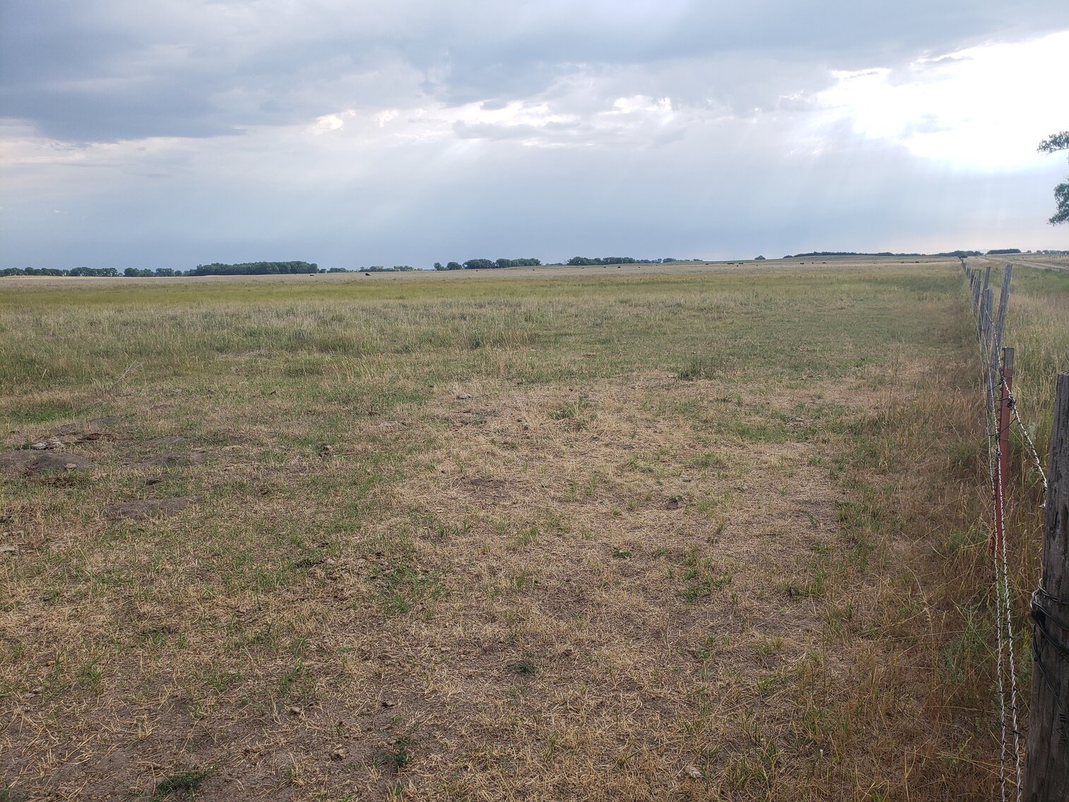Image for 480+/- Acres in Rock County, NE