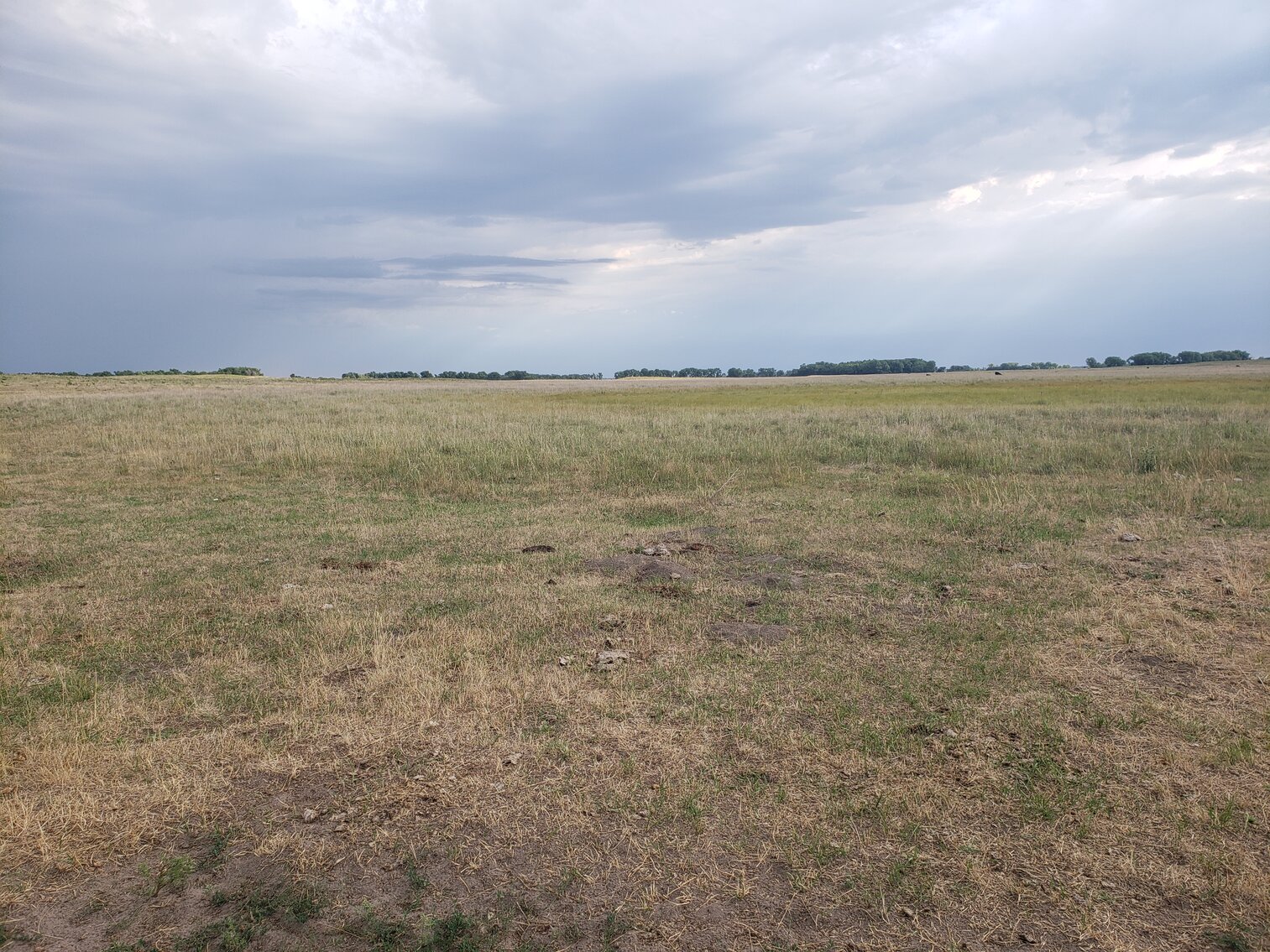 Image for 480+/- Acres in Rock County, NE