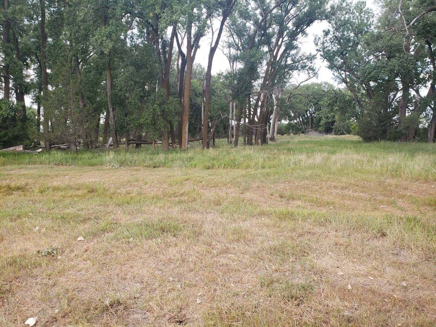 Image for 480+/- Acres in Rock County, NE