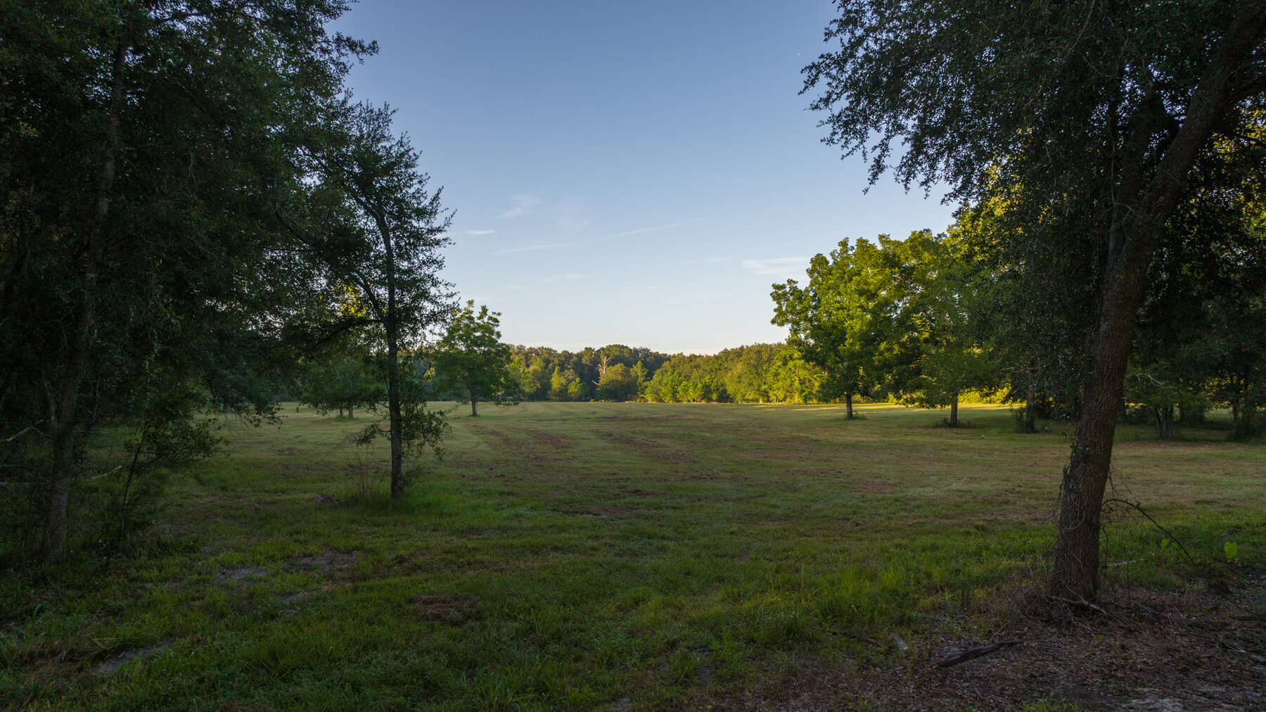 Image for 150+/- Acre Sportsman's Paradise and Beautiful Home Located in Mitchell County