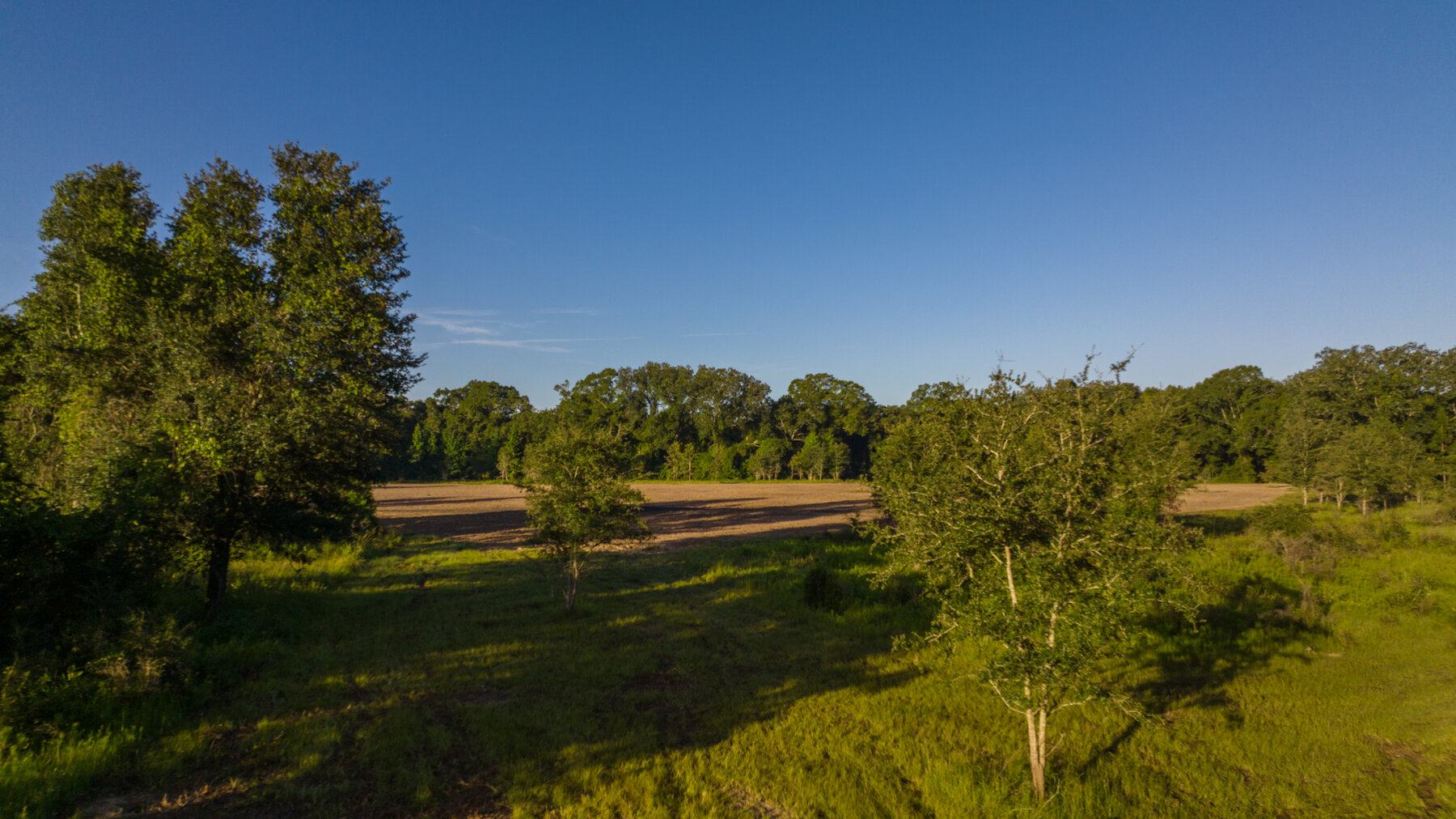 Image for 150+/- Acre Sportsman's Paradise and Beautiful Home Located in Mitchell County