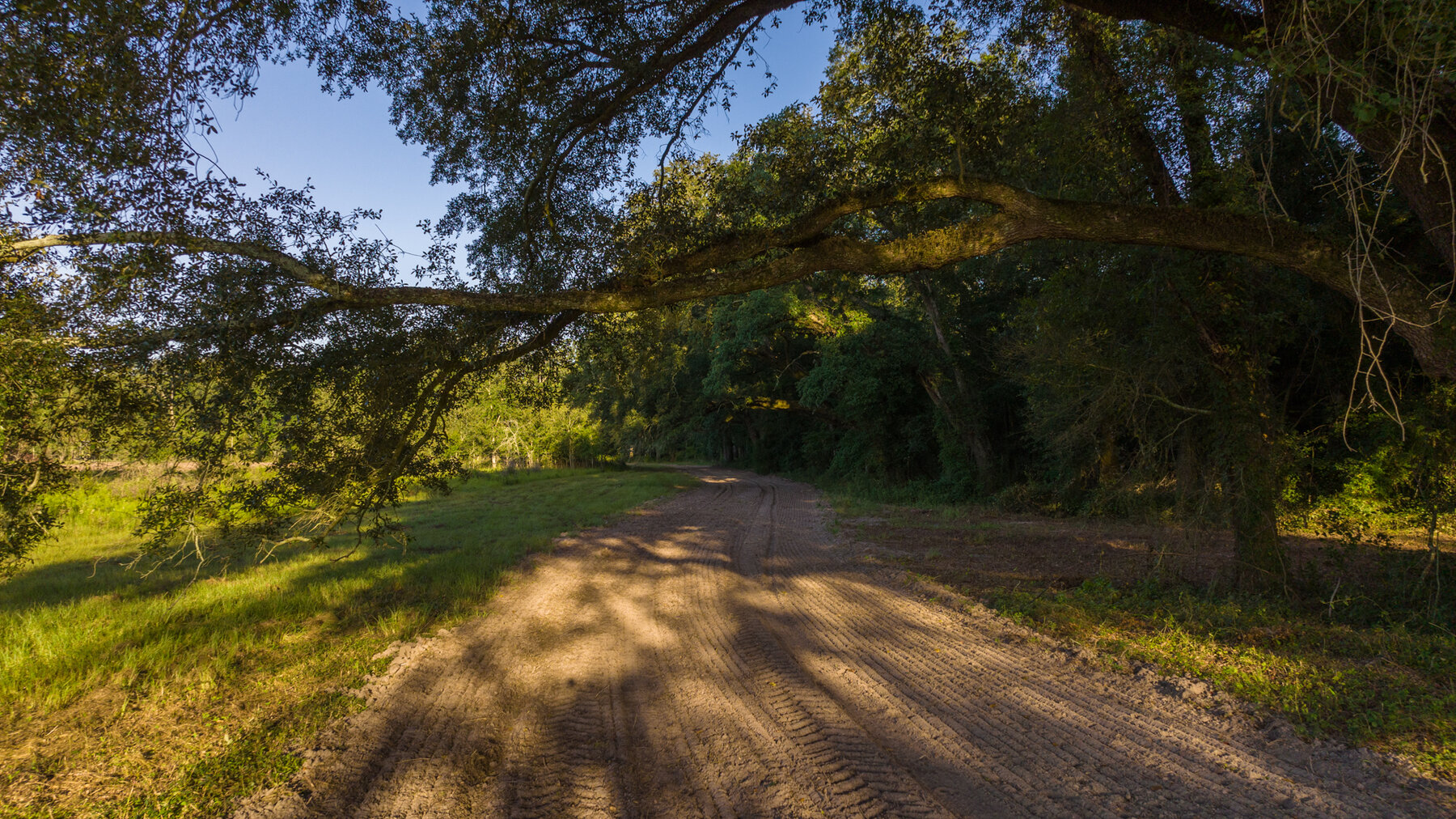 Image for 150+/- Acre Sportsman's Paradise and Beautiful Home Located in Mitchell County