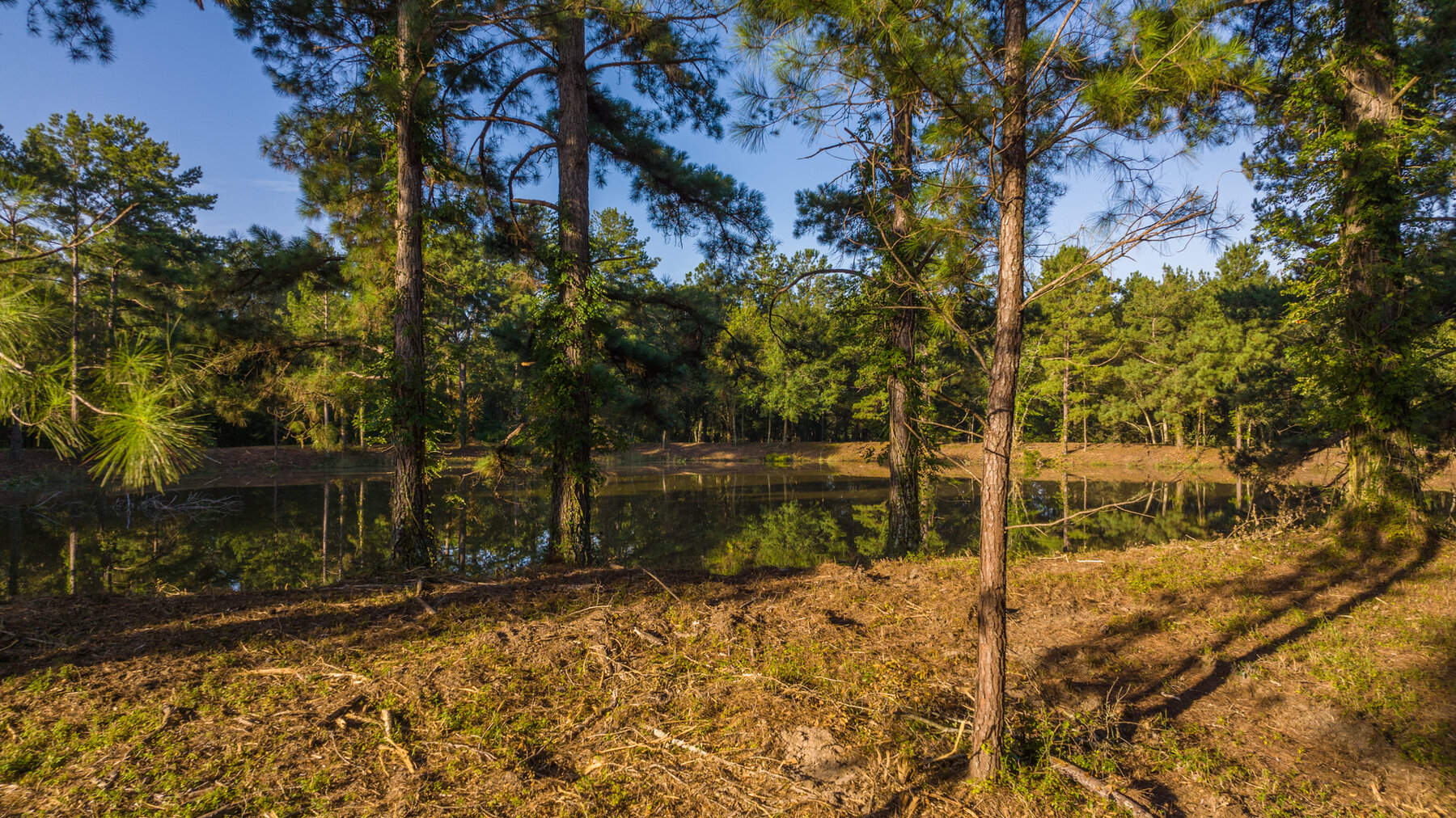 Image for 150+/- Acre Sportsman's Paradise and Beautiful Home Located in Mitchell County