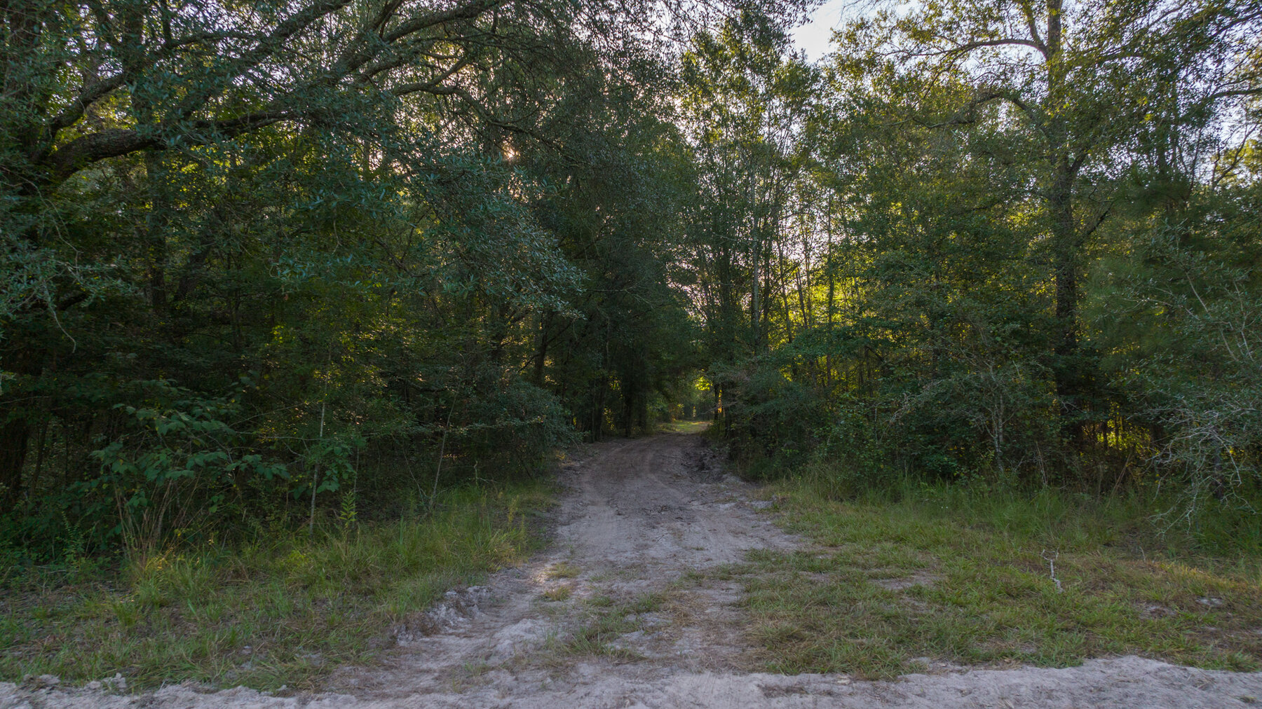 Image for 150+/- Acre Sportsman's Paradise and Beautiful Home Located in Mitchell County