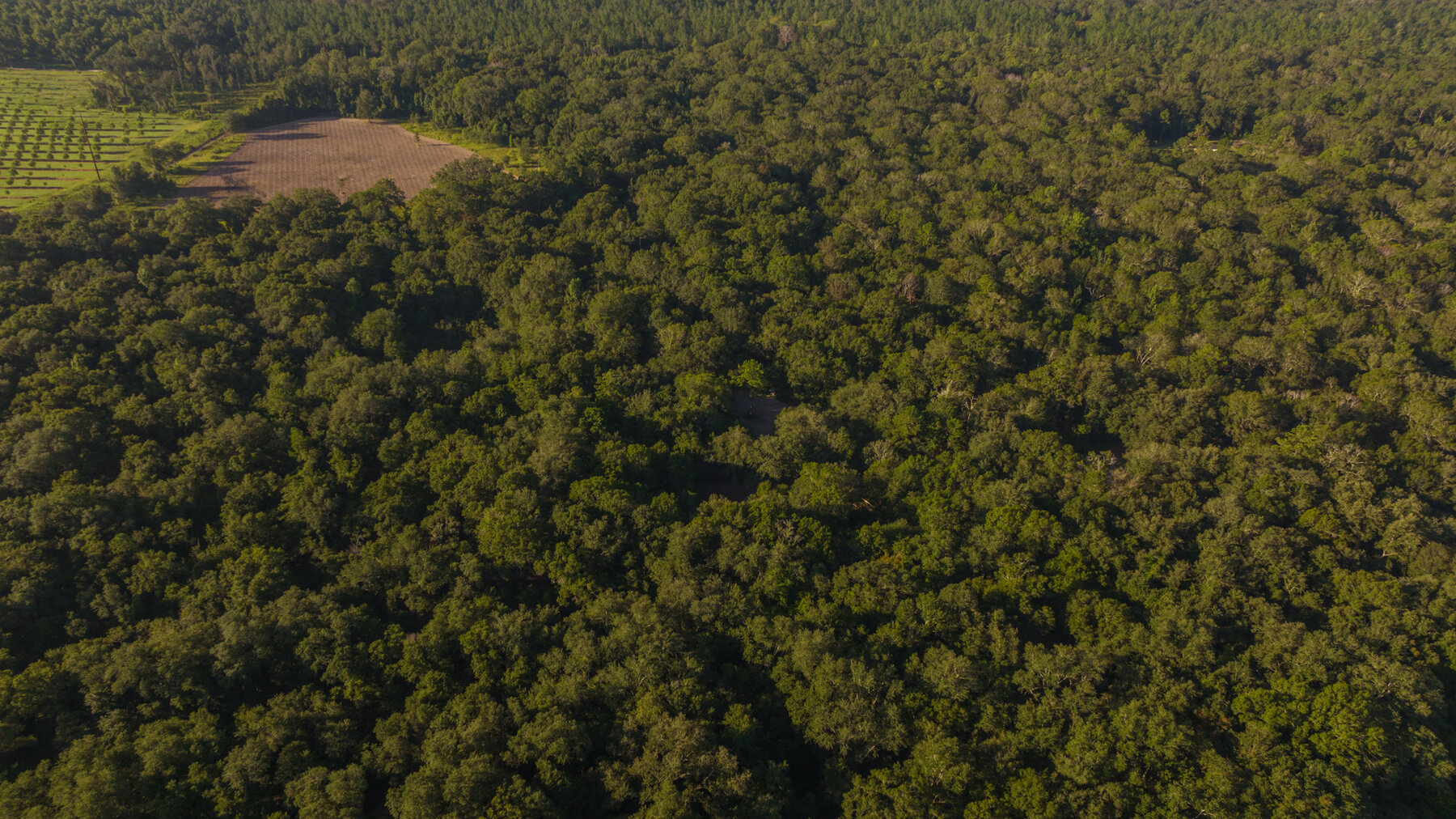 Image for 150+/- Acre Sportsman's Paradise and Beautiful Home Located in Mitchell County