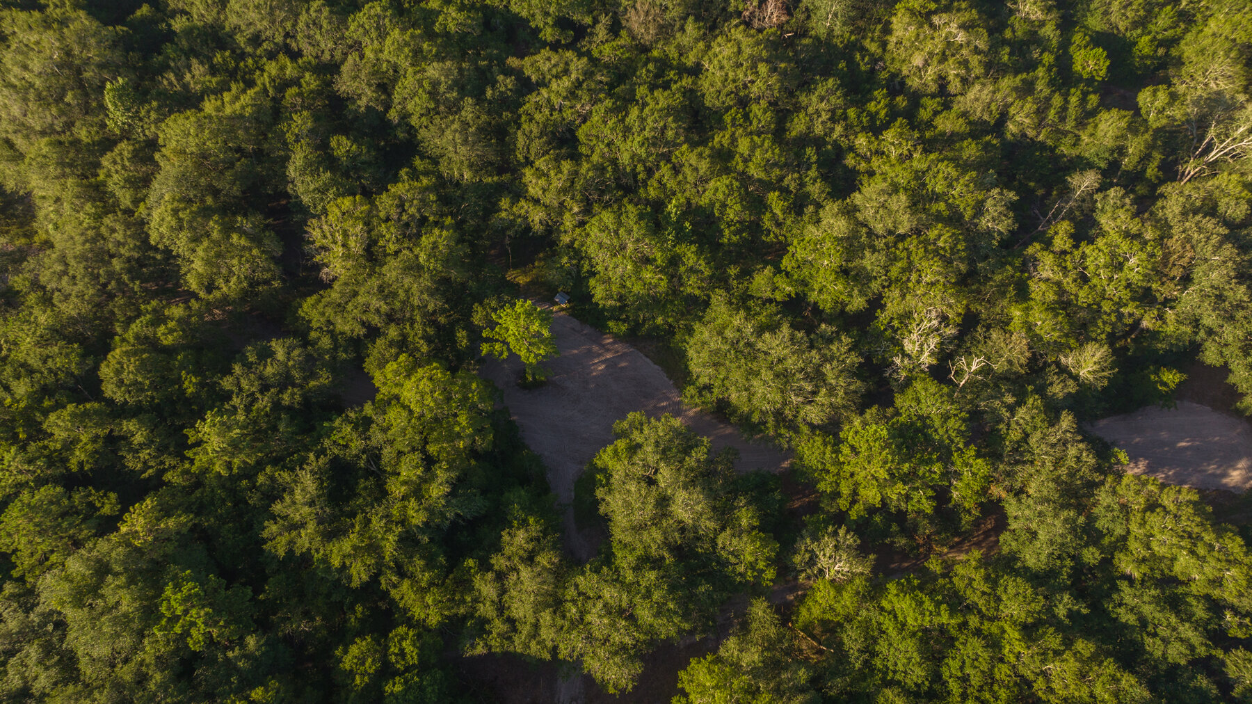 Image for 150+/- Acre Sportsman's Paradise and Beautiful Home Located in Mitchell County