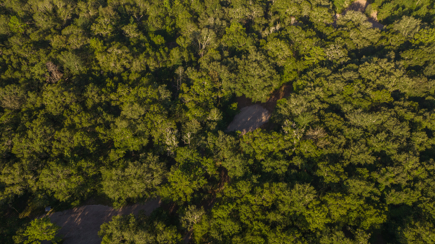 Image for 150+/- Acre Sportsman's Paradise and Beautiful Home Located in Mitchell County