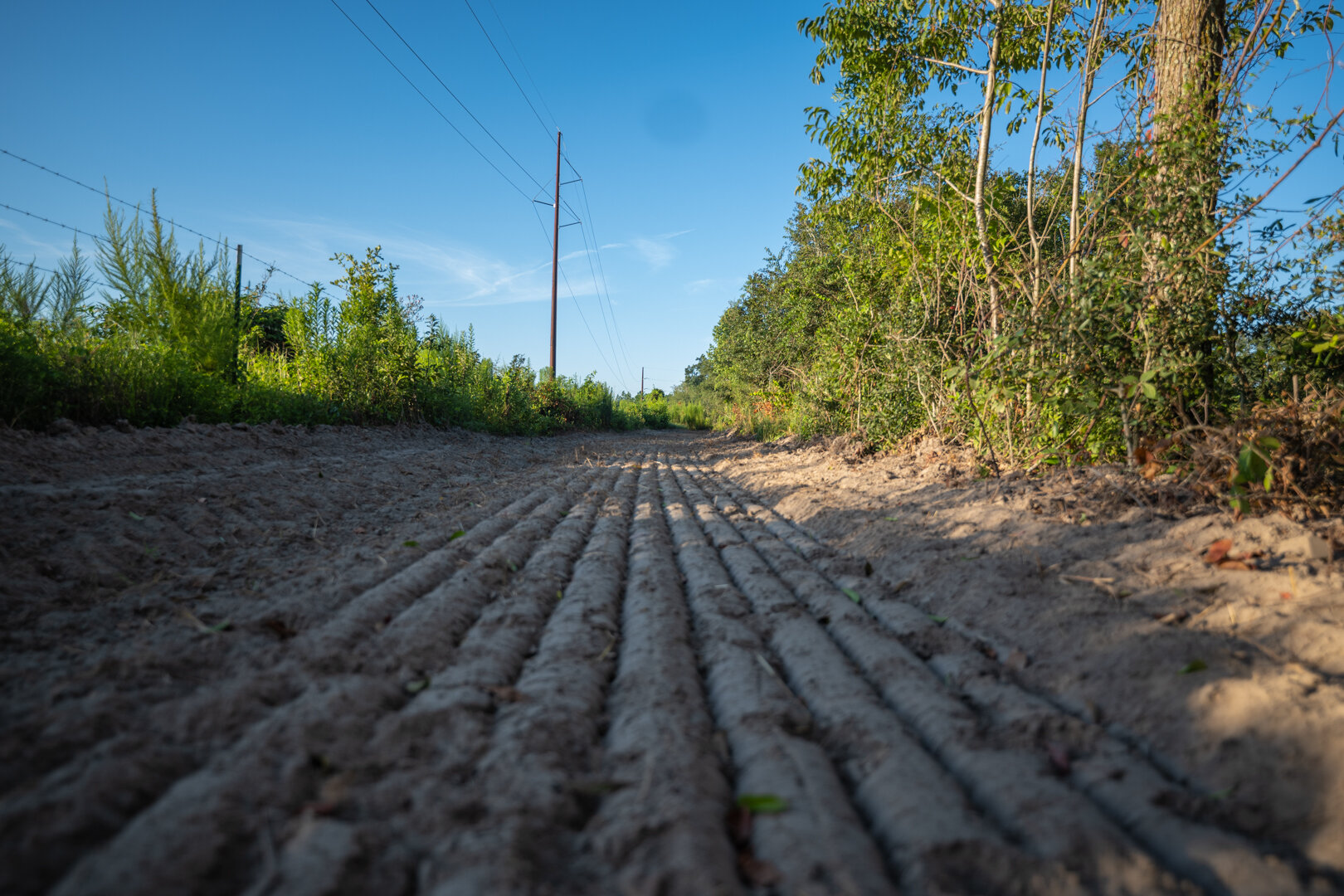 Image for 150+/- Acre Sportsman's Paradise and Beautiful Home Located in Mitchell County