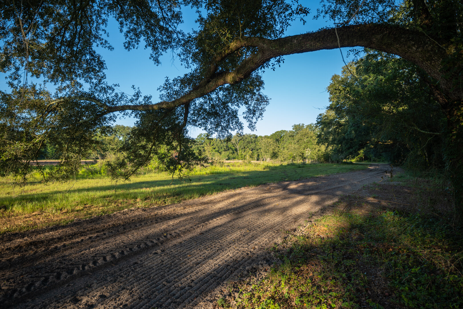 Image for 150+/- Acre Sportsman's Paradise and Beautiful Home Located in Mitchell County