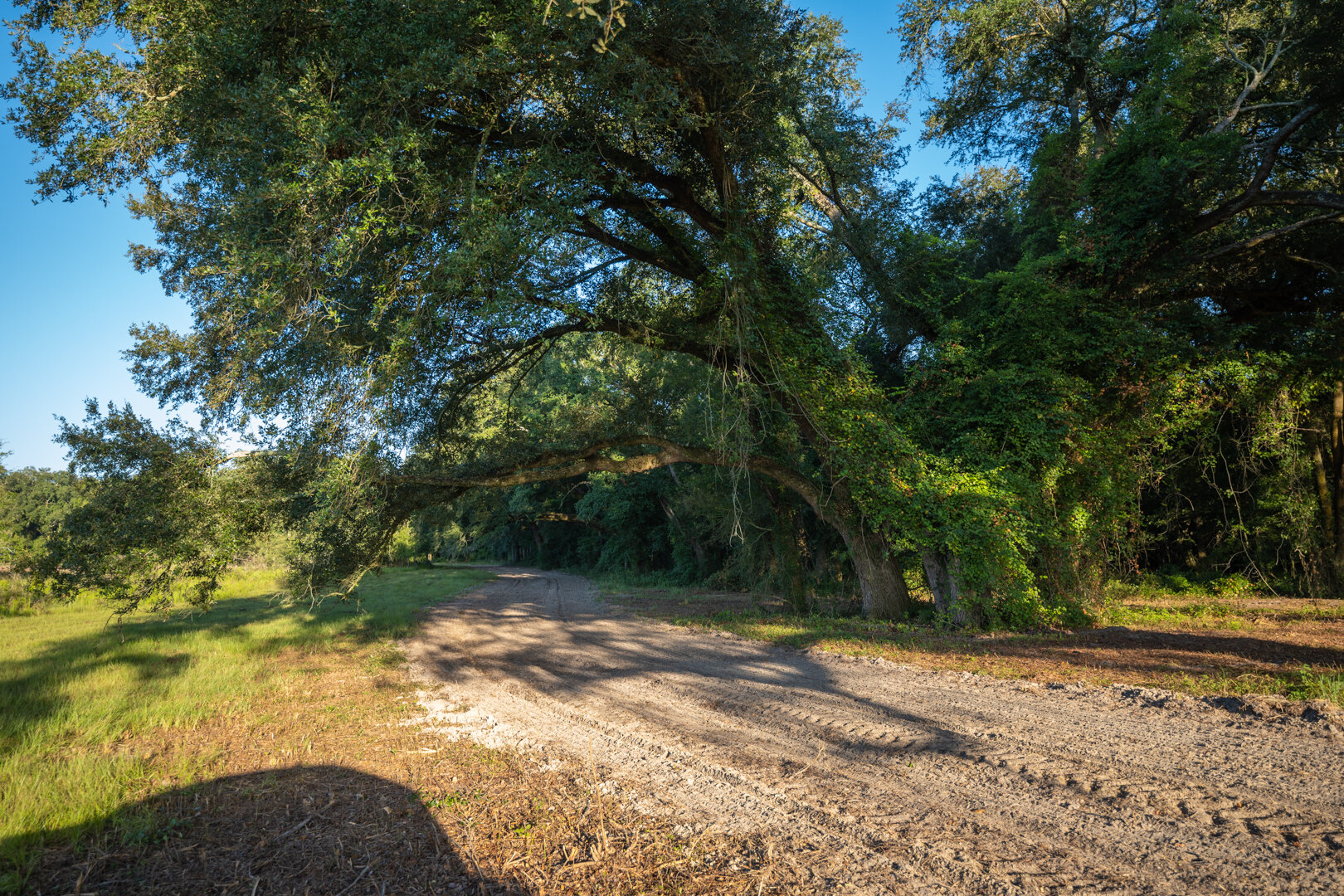 Image for 150+/- Acre Sportsman's Paradise and Beautiful Home Located in Mitchell County