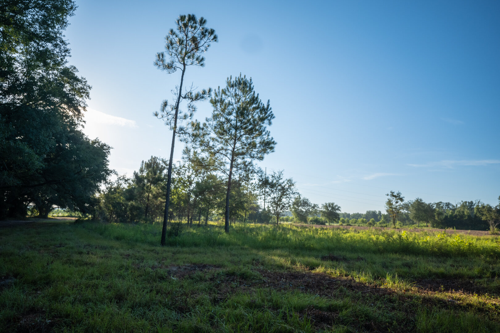 Image for 150+/- Acre Sportsman's Paradise and Beautiful Home Located in Mitchell County