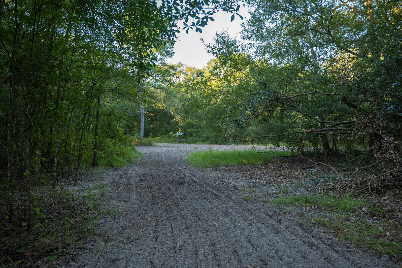 Image for 150+/- Acre Sportsman's Paradise and Beautiful Home Located in Mitchell County