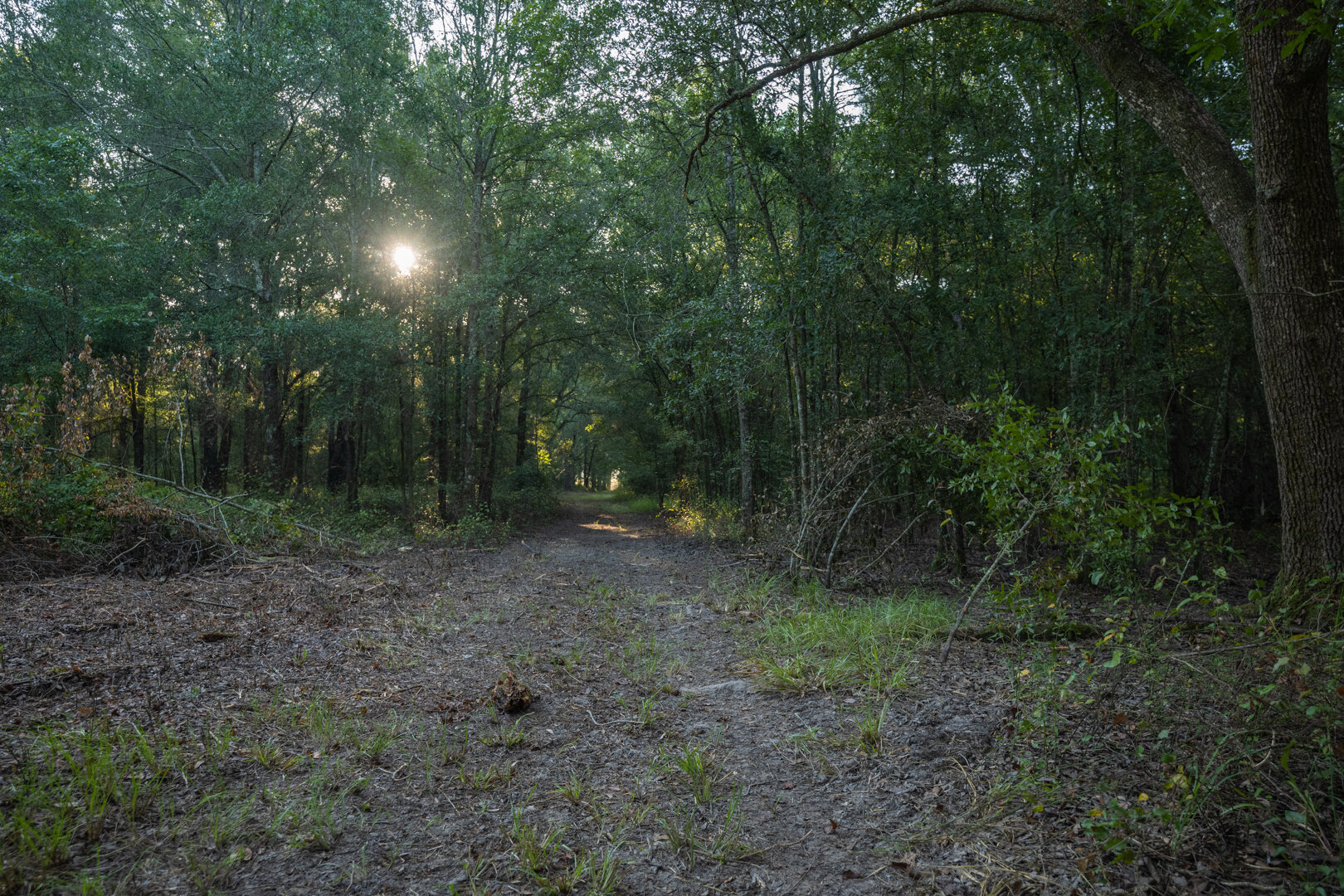 Image for 150+/- Acre Sportsman's Paradise and Beautiful Home Located in Mitchell County