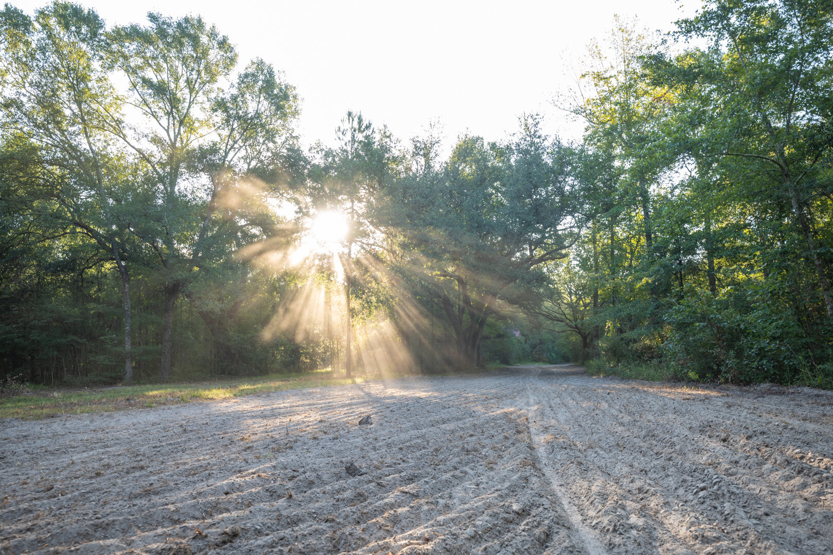 Image for 150+/- Acre Sportsman's Paradise and Beautiful Home Located in Mitchell County