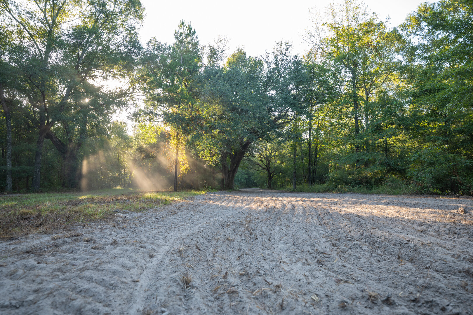 Image for 150+/- Acre Sportsman's Paradise and Beautiful Home Located in Mitchell County