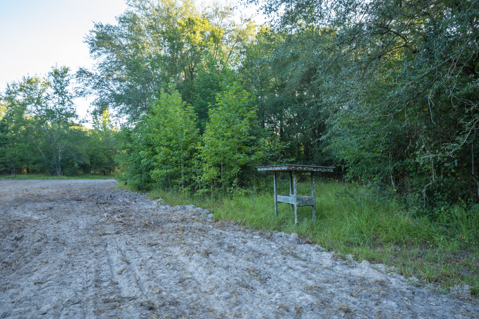 Image for 150+/- Acre Sportsman's Paradise and Beautiful Home Located in Mitchell County