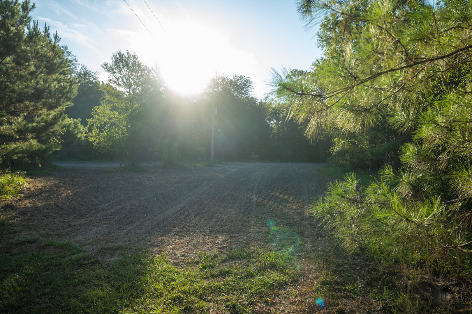 Image for 150+/- Acre Sportsman's Paradise and Beautiful Home Located in Mitchell County