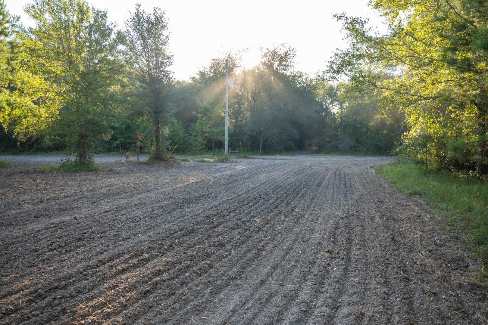 Image for 150+/- Acre Sportsman's Paradise and Beautiful Home Located in Mitchell County