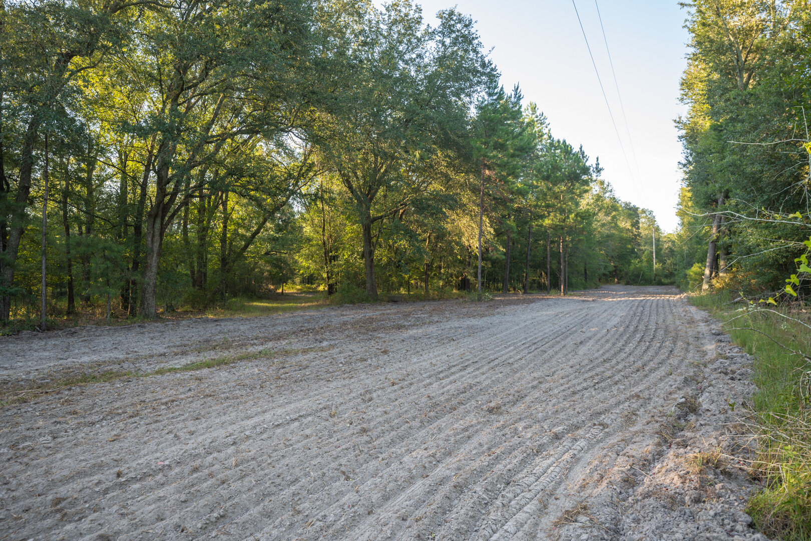 Image for 150+/- Acre Sportsman's Paradise and Beautiful Home Located in Mitchell County