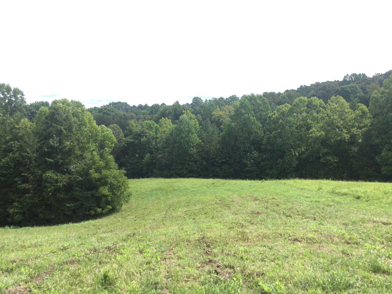 Image for Young Ridge Road, Dekalb County