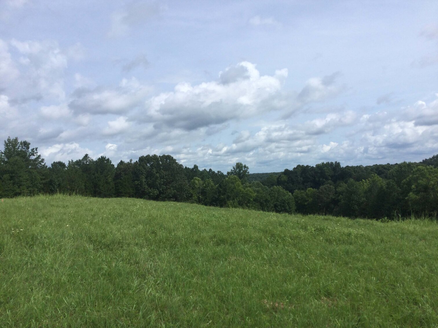 Image for Young Ridge Road, Dekalb County