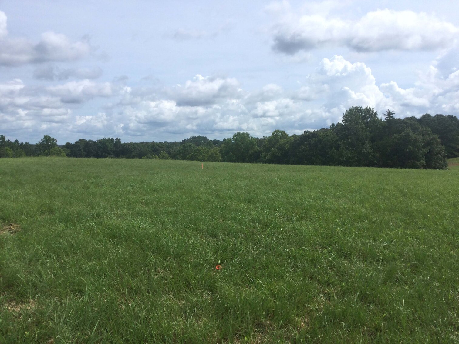 Image for Young Ridge Road, Dekalb County