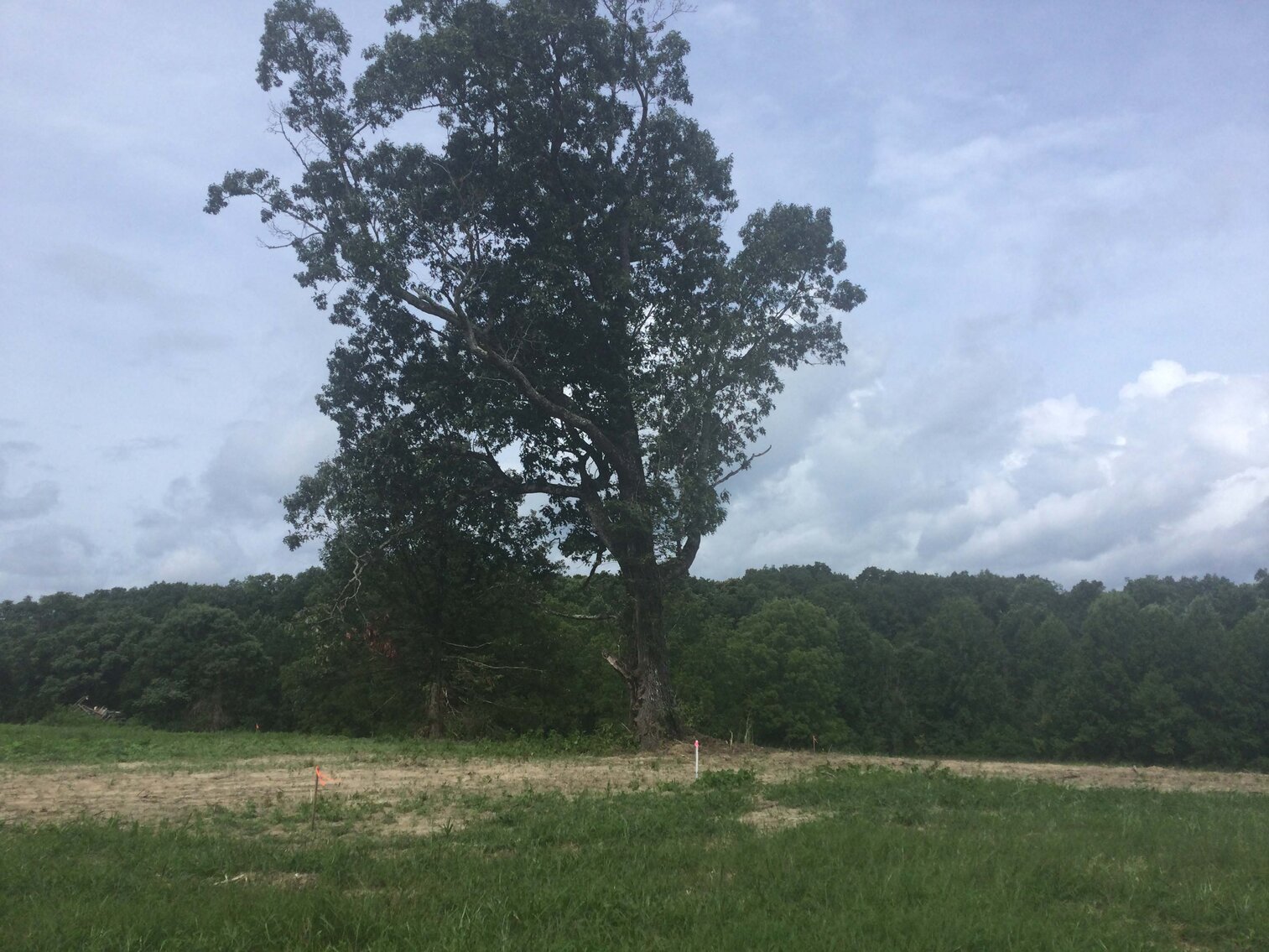 Image for Young Ridge Road, Dekalb County