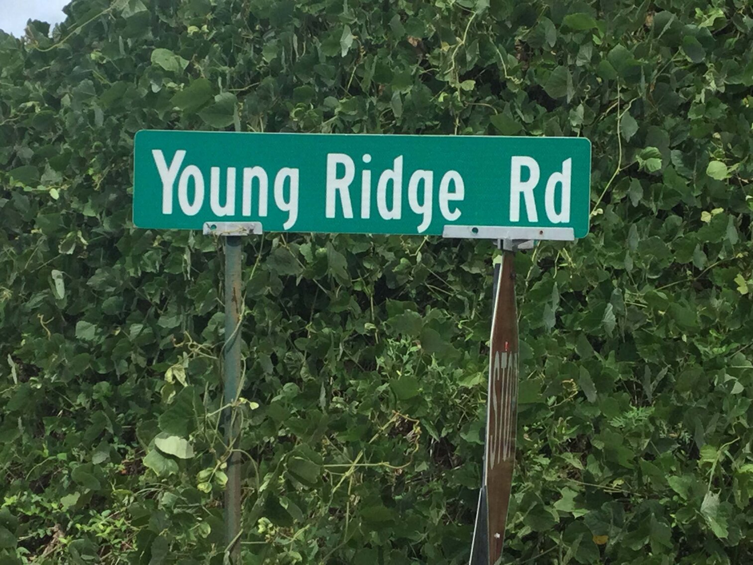 Image for Young Ridge Road, Dekalb County