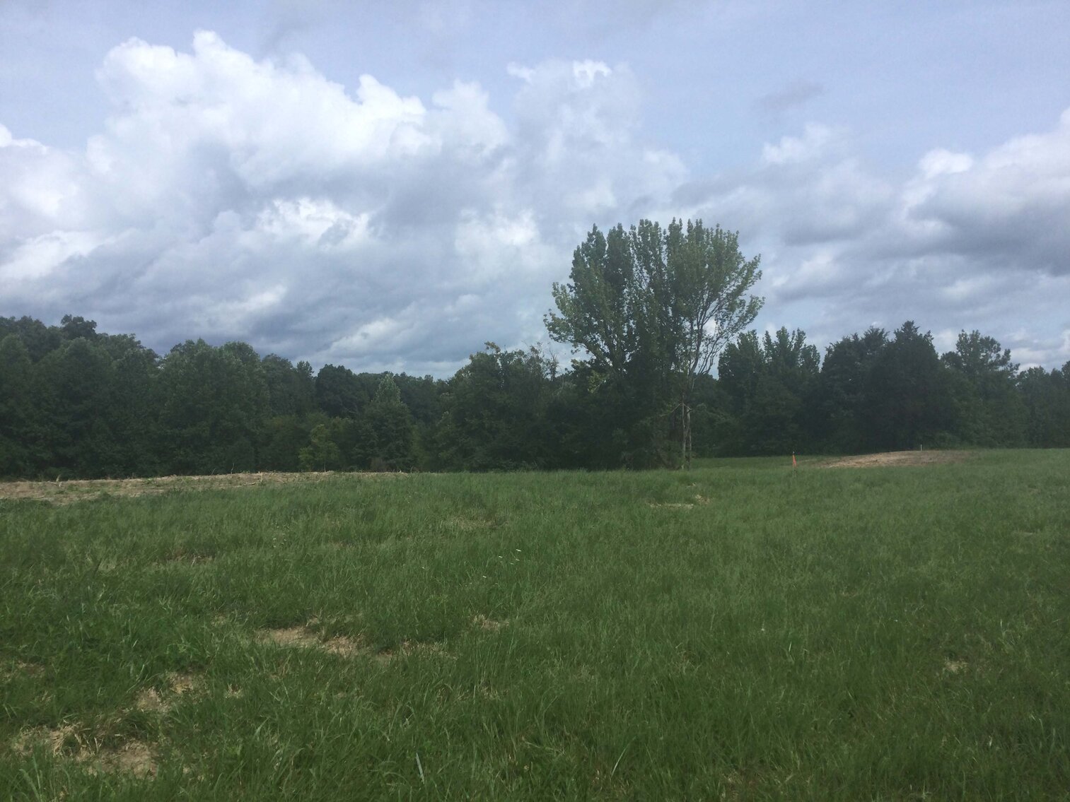 Image for Young Ridge Road, Dekalb County