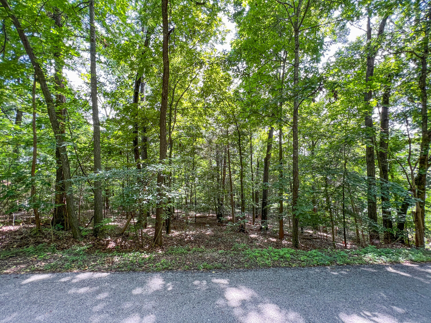 Image for 3032 Briarwood Drive, Murfreesboro