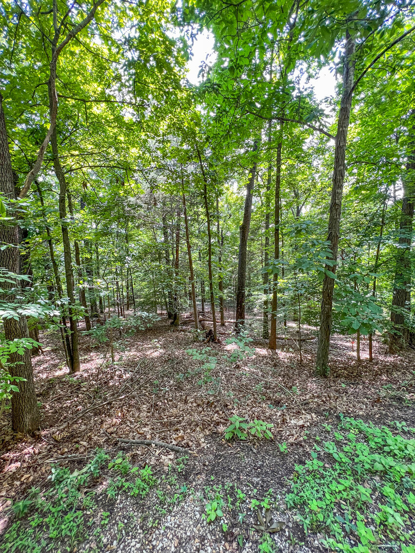 Image for 3032 Briarwood Drive, Murfreesboro