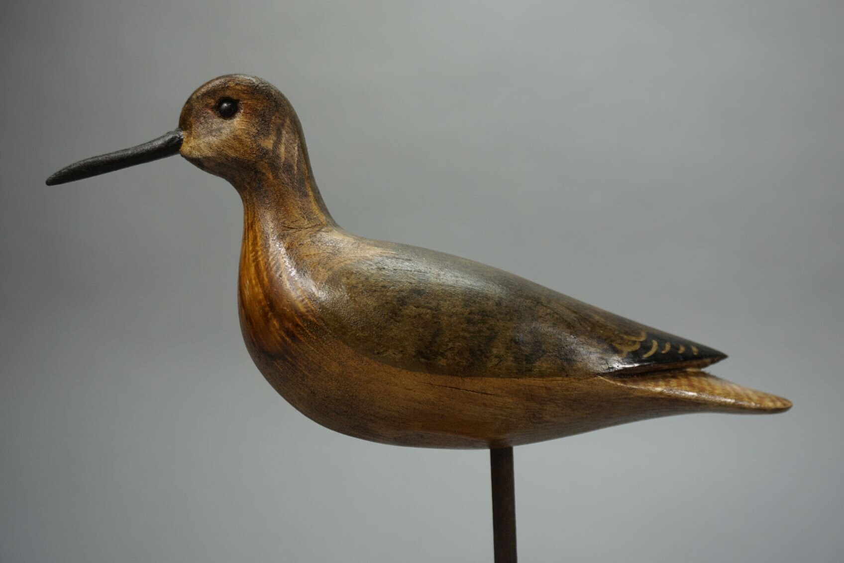 Image for August Online Sportsman’s Auction 2022