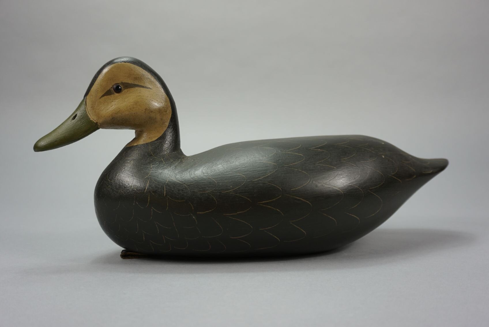 Image for August Online Sportsman’s Auction 2022