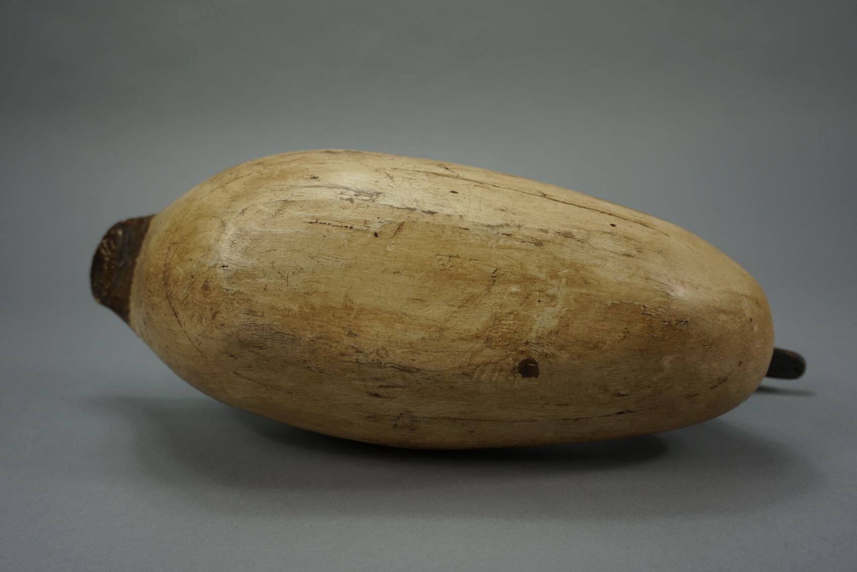 Image for August Online Sportsman’s Auction 2022