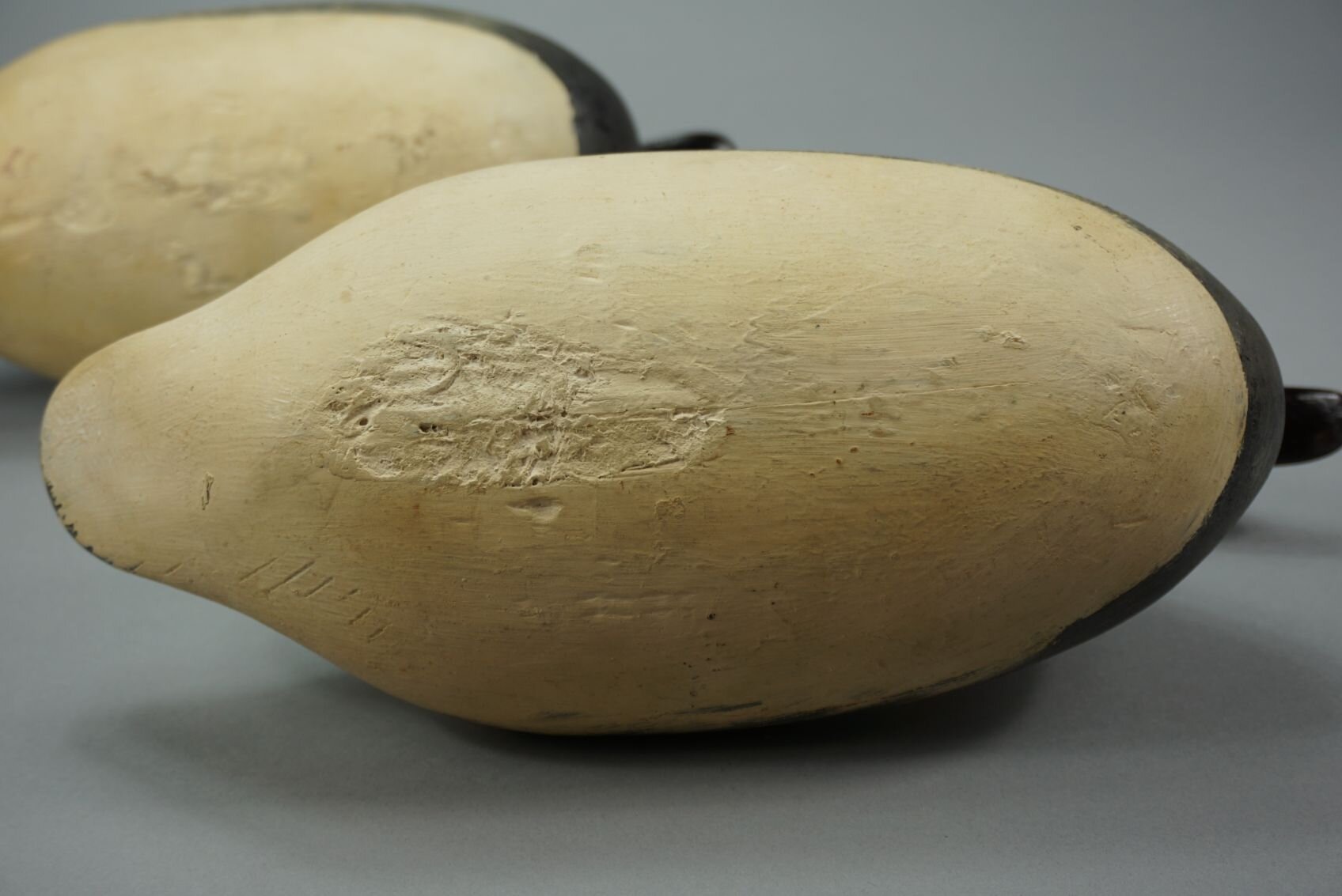 Image for August Online Sportsman’s Auction 2022