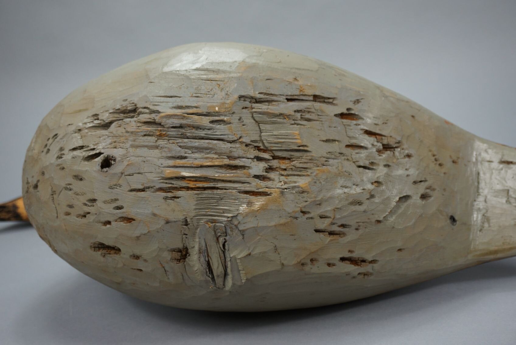 Image for August Online Sportsman’s Auction 2022