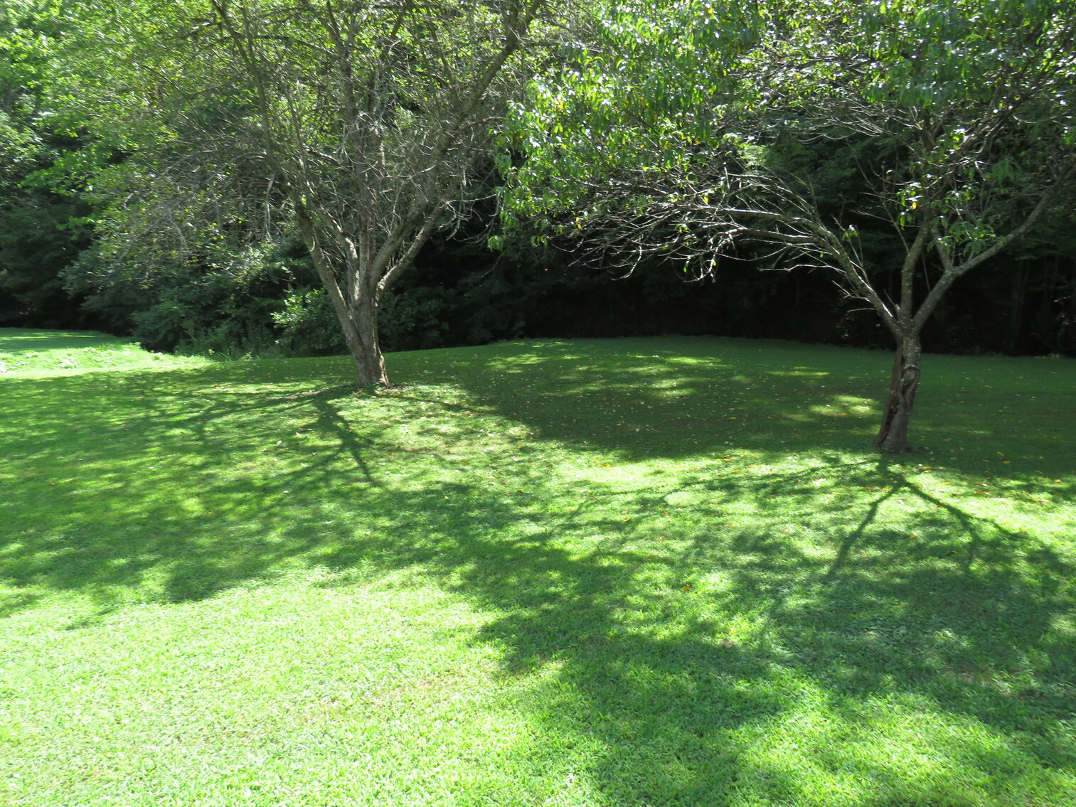 Image for 3324 Clarks Road, Rustburg VA 24588