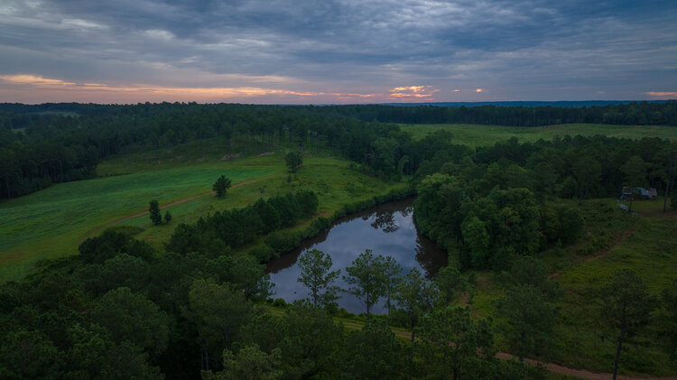 Image for Pioneer Farms: 660+/- Acre Pristine Timberland and Recreational Farm